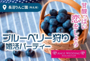 ブルーベリー狩り